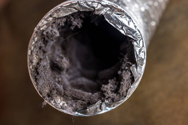 Best Residential Air Duct Cleaning  in Blue Mountain, MS