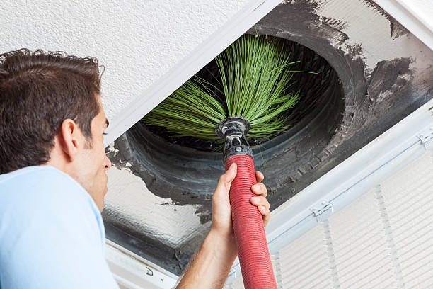 Best Home Air Vent Cleaning  in Blue Mountain, MS